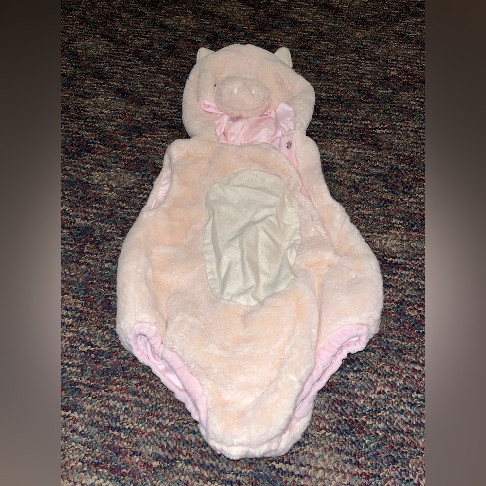 Pottery Barn Kids pig costume 12-24m